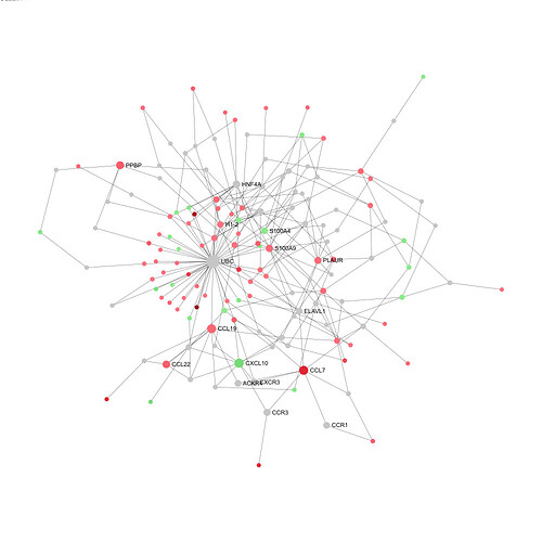 network_analyst_SVG_exported