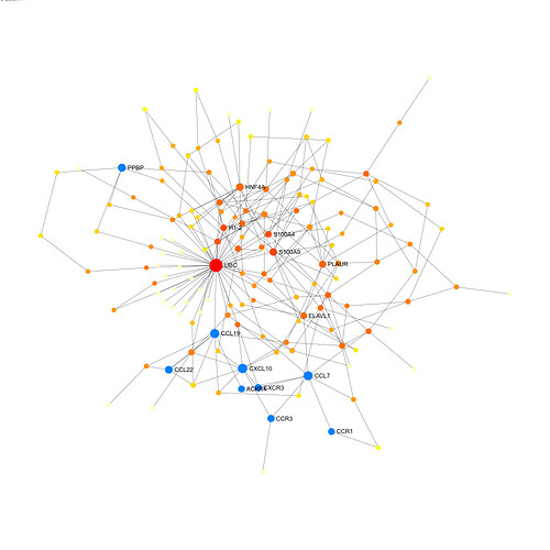 network_topology_highlighted_SVG