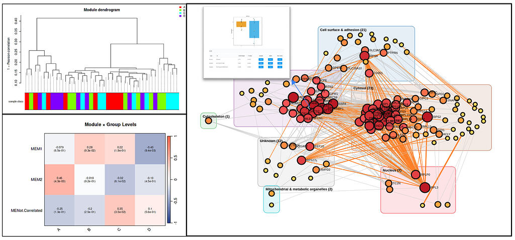 Net Work Expression How to create weighted co-expression network in ProteoAnalyst ...