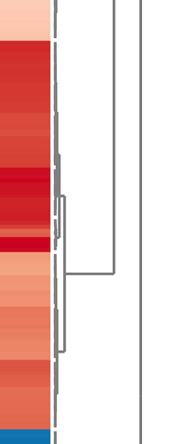 Capture_KEGG-Heatmap