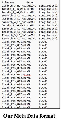 Screenshot 2024-07-31 at 11.08.51 AM